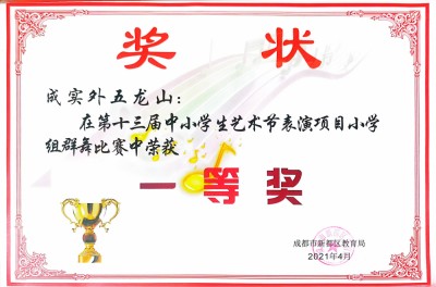 新都區第13屆中小學生藝術節小學群舞比賽一等獎